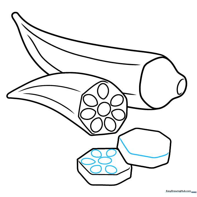 Adding seed details and depth lines to the overlapping okra slices.