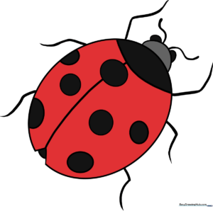 A colorful, friendly ladybug cartoon character, perfect for kids' art projects.