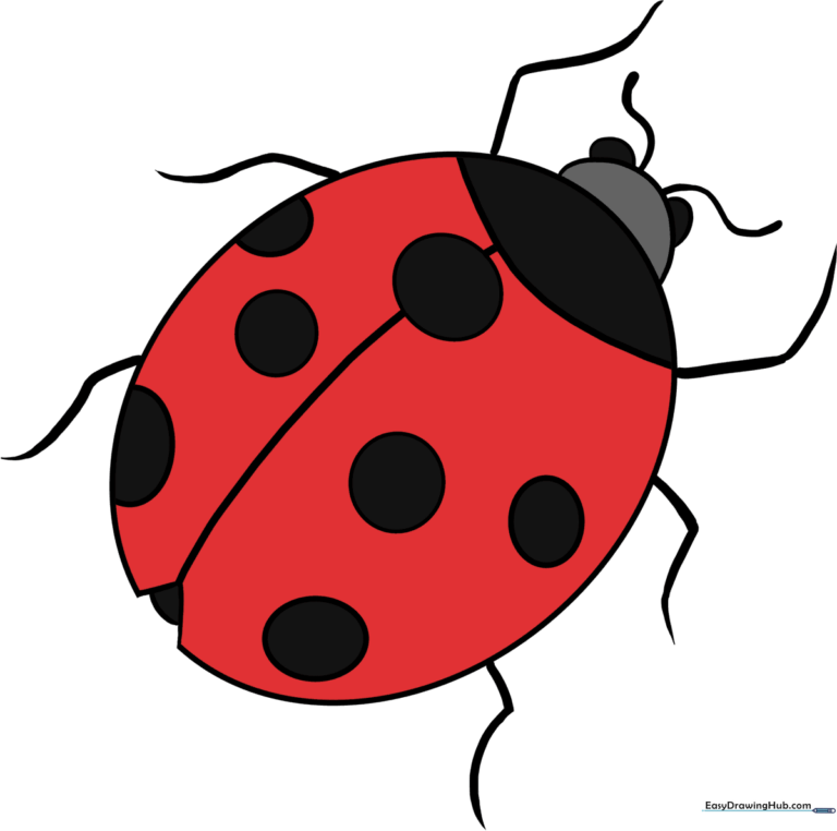 A colorful, friendly ladybug cartoon character, perfect for kids' art projects.