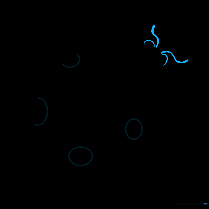 Detailed view showing the addition of two curved antennas and two small eyes on the ladybug's head.