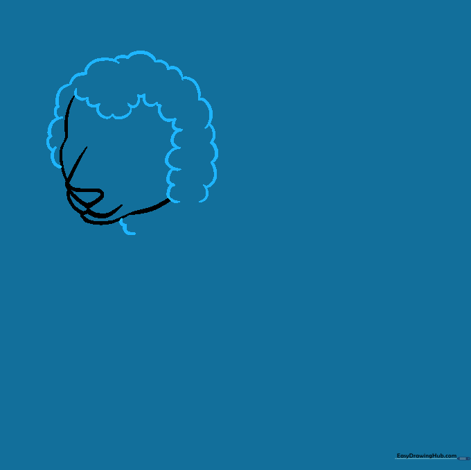 Pencil outline of a lamb's face surrounded by fluffy wool texture.