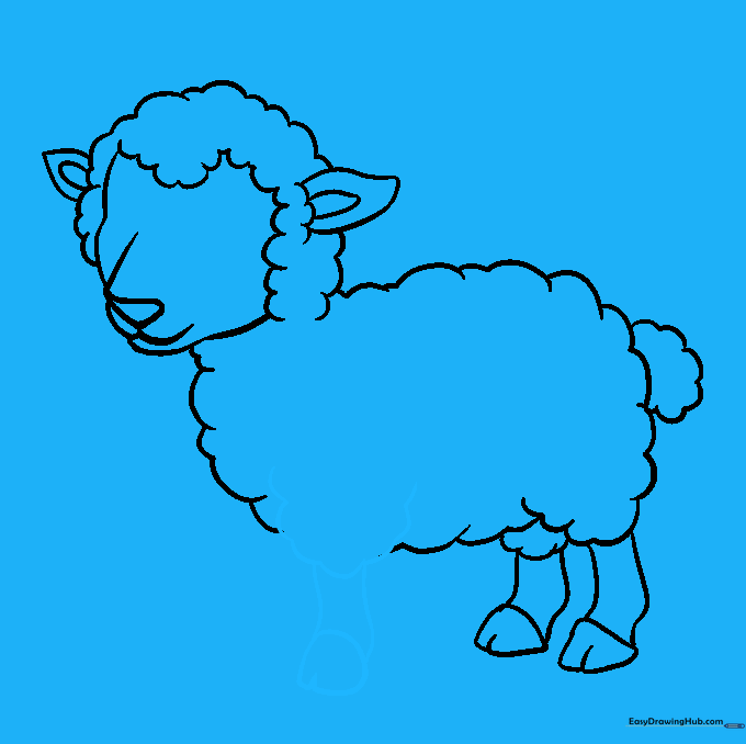 Adding the front leg and shoulder to the lamb's body.
