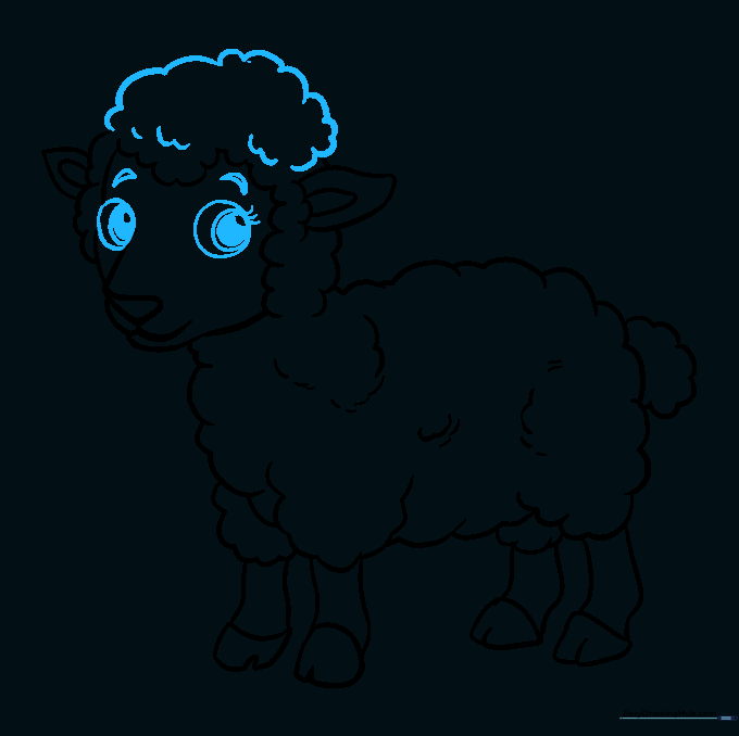 Detailed sketch of the lamb's eyes with pupils and eyelashes.