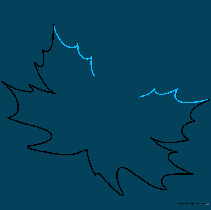 Adding the top lobes to the maple leaf drawing with sharp, serrated edges.