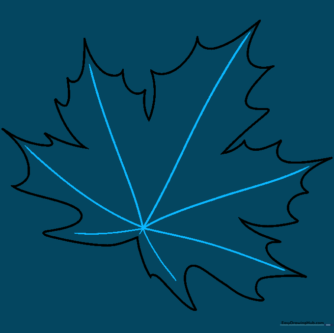 Adding the main veins in a starburst pattern originating from the base of the leaf.