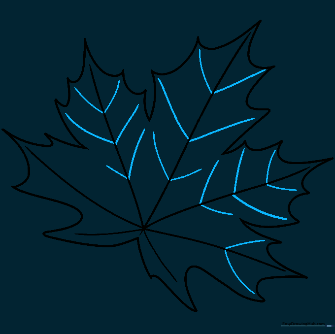 Adding secondary veins branching off the main veins in a V-shape pattern.