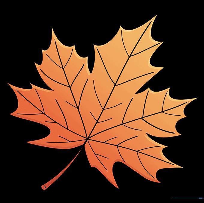 Final line art of a maple leaf with detailed veins and stem, ready for coloring.