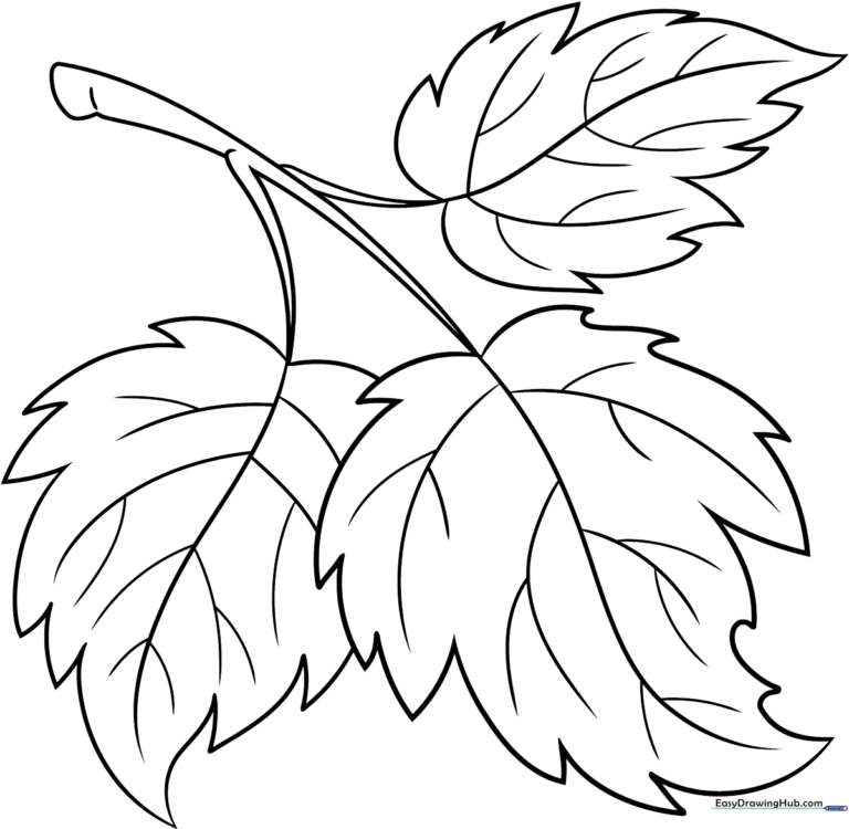 A completed, detailed drawing of three overlapping leaves with intricate vein patterns.