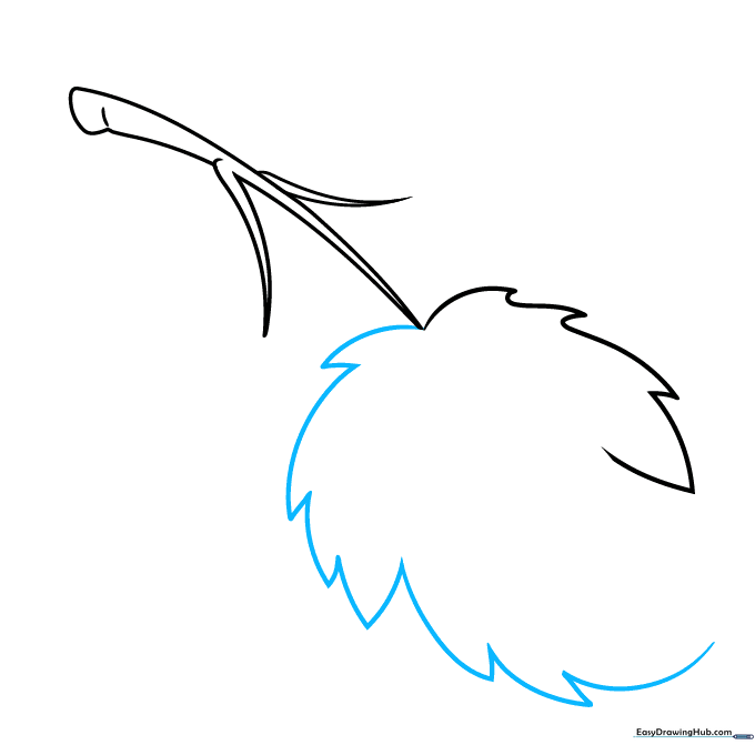 Continuing the jagged outline of the leaf edge with a pencil.