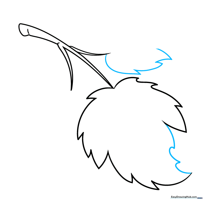 Completing the first leaf and beginning the outline of a second overlapping leaf.
