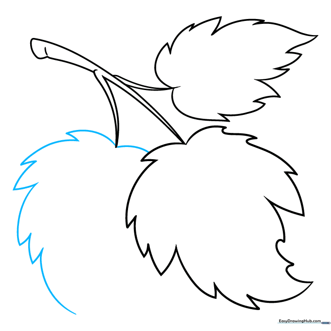 Adding a third leaf partially obscured by the first to create depth.