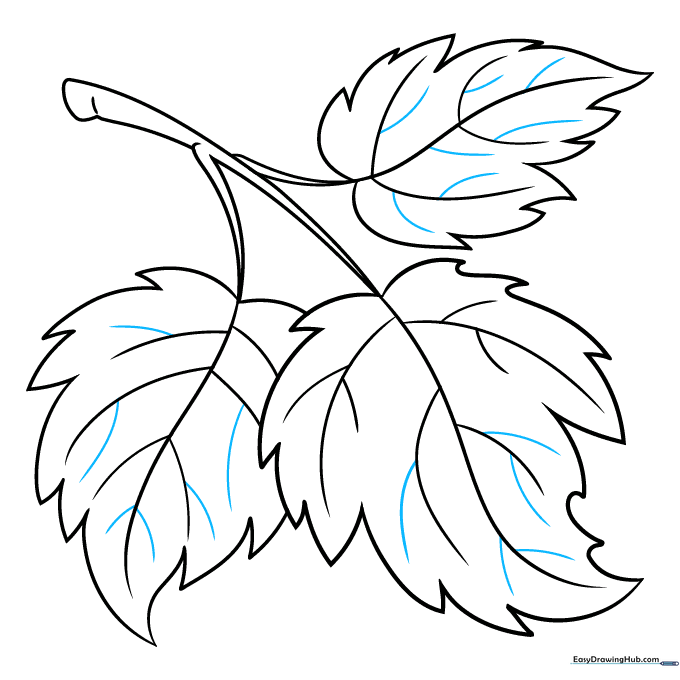 Finalizing the intricate vein patterns across all three leaves.
