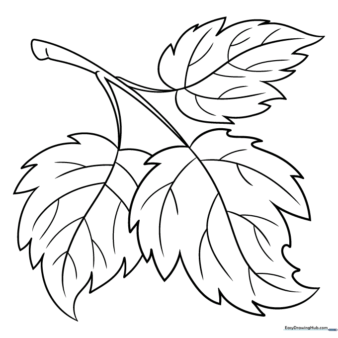The finished leaf drawing, colored with vibrant green tones.