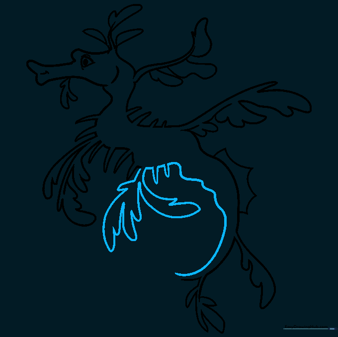 Drawing the tail and fern-like structures at the base of the sea dragon.