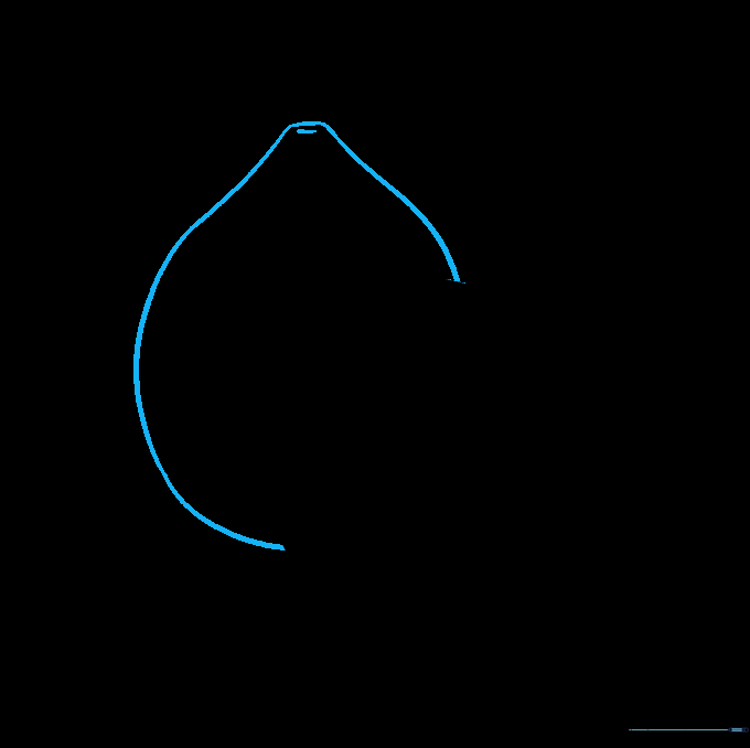 Drawing a whole lemon shape behind the slice with a small stem attachment point.