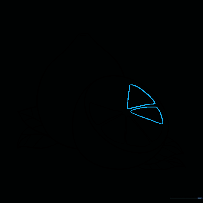 Adding more detailed segments to the interior of the lemon slice.