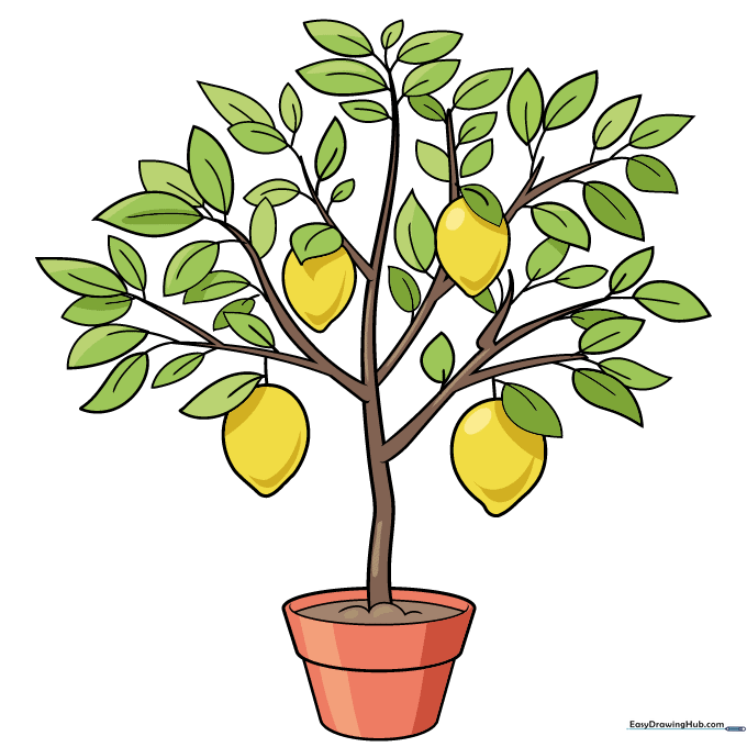Final colored illustration of a cartoon lemon tree in a pot.