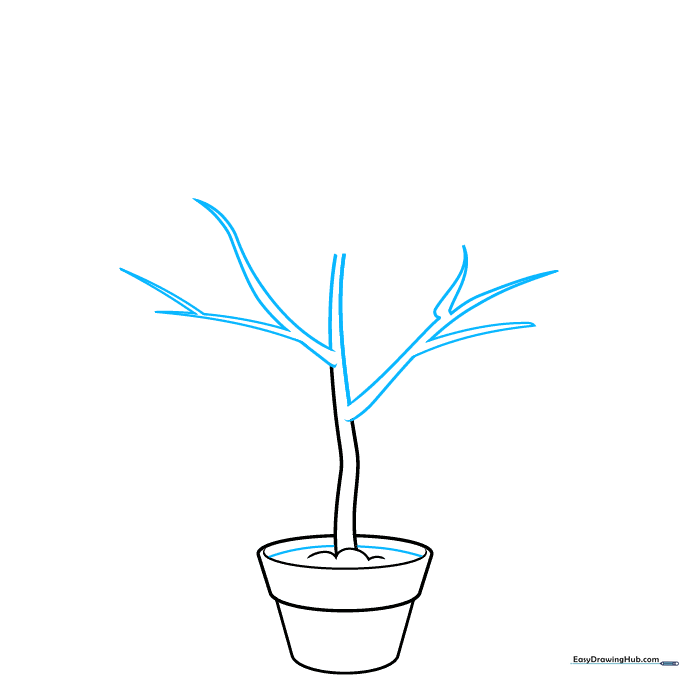 Sketching the primary branches extending from the main tree trunk.