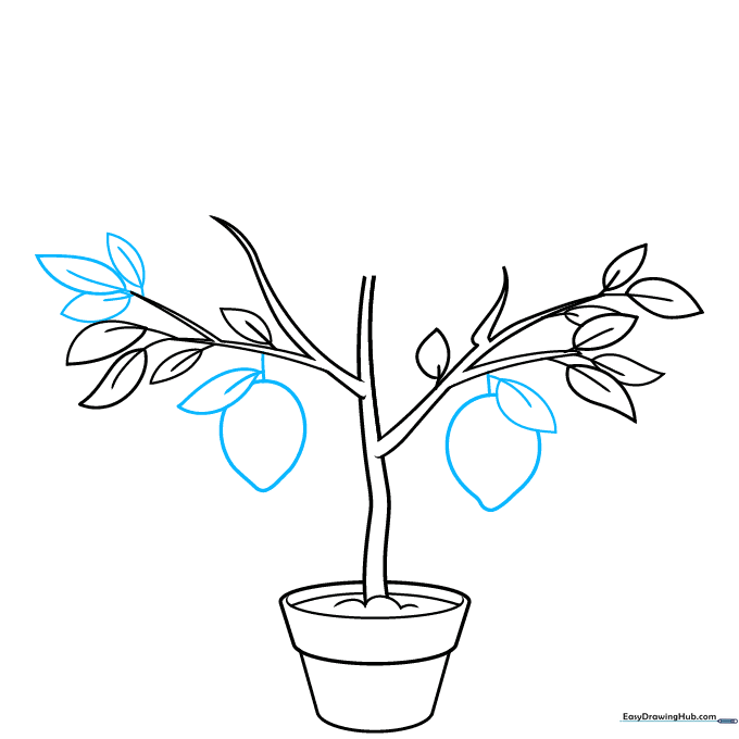 Drawing cartoon lemons hanging from the branches with small stems.