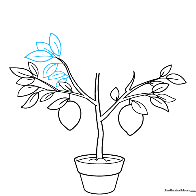Adding additional leaves to the upper canopy of the lemon tree.