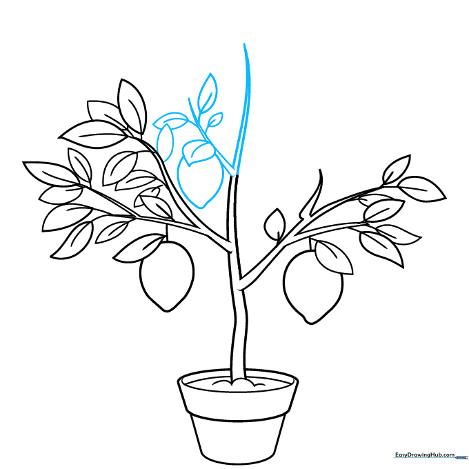 Drawing new branches and a lemon at the top of the tree structure.