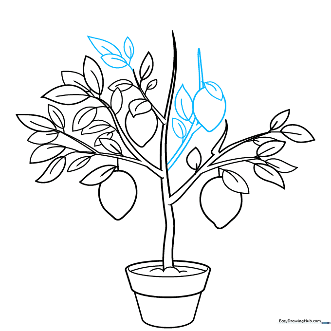 Adding a side branch with a lemon and leaves to the tree.