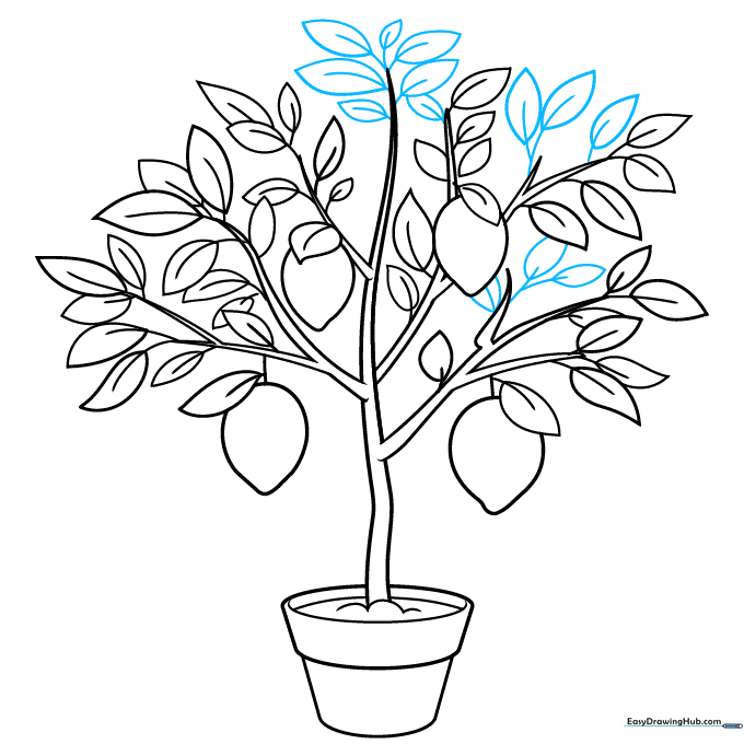Completed line art of the lemon tree with all leaves and fruit added.