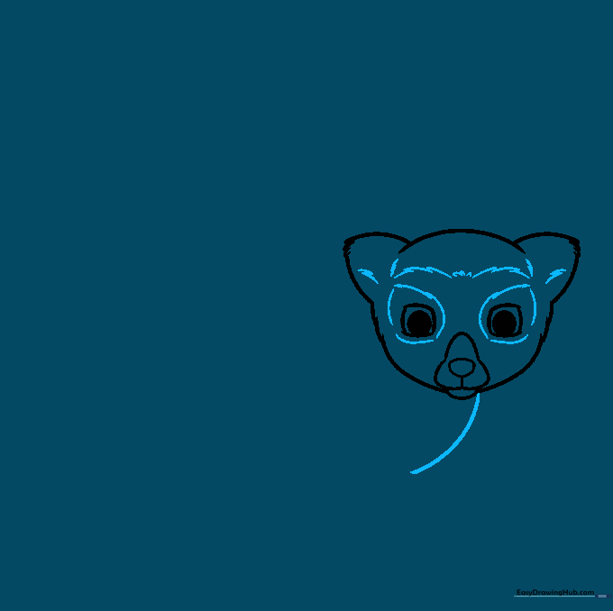 Lemur drawing showing detailed facial markings and the beginning of the body outline.