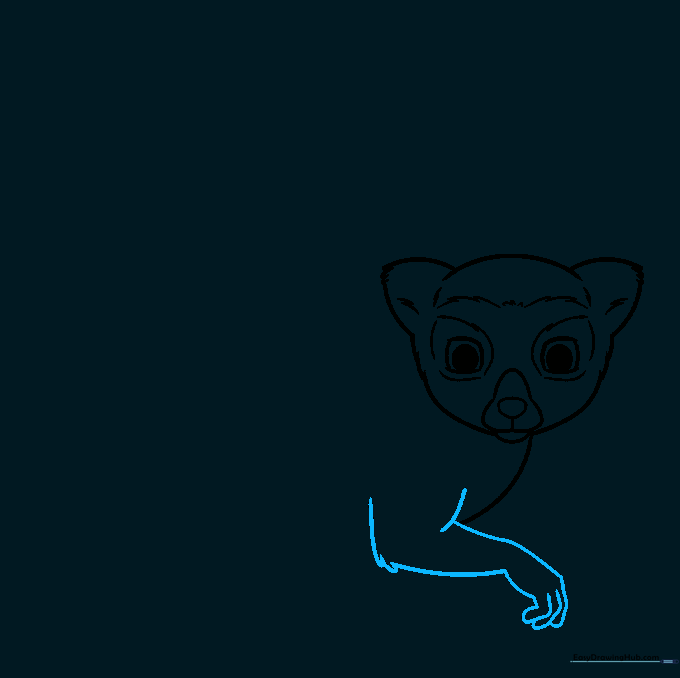Detailed sketch of a lemur's arm and hand with overlapping finger lines.