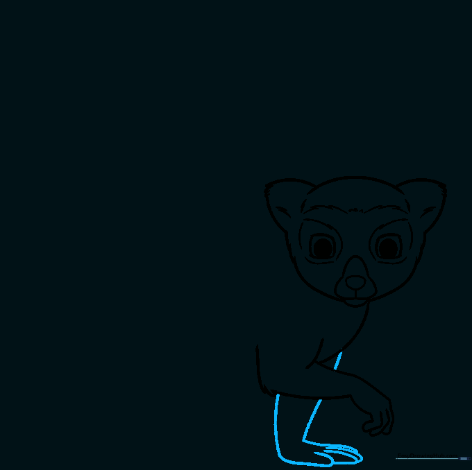 Drawing of the lemur's second arm and hand positioned near the body.