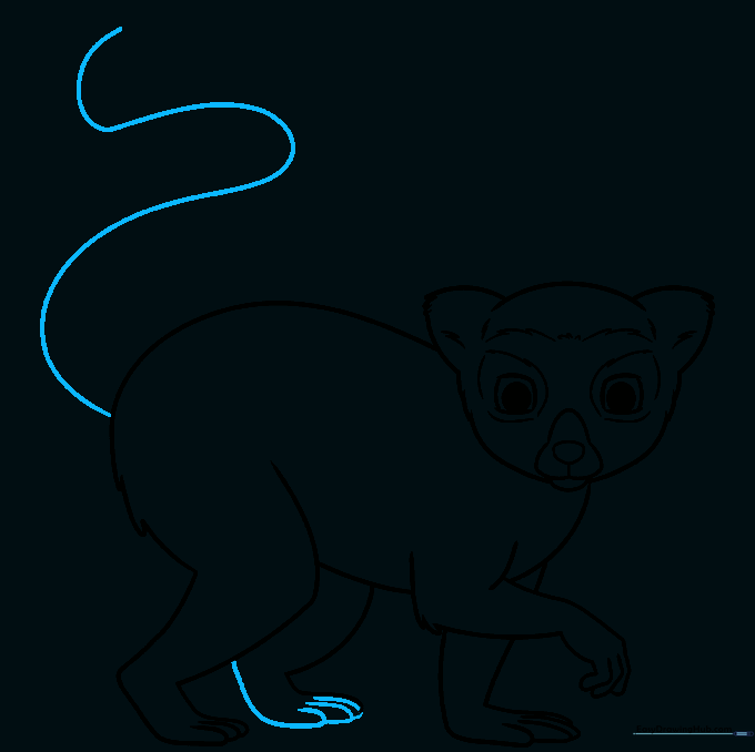 Drawing of the lemur's final paw and the long, curved line starting the tail.
