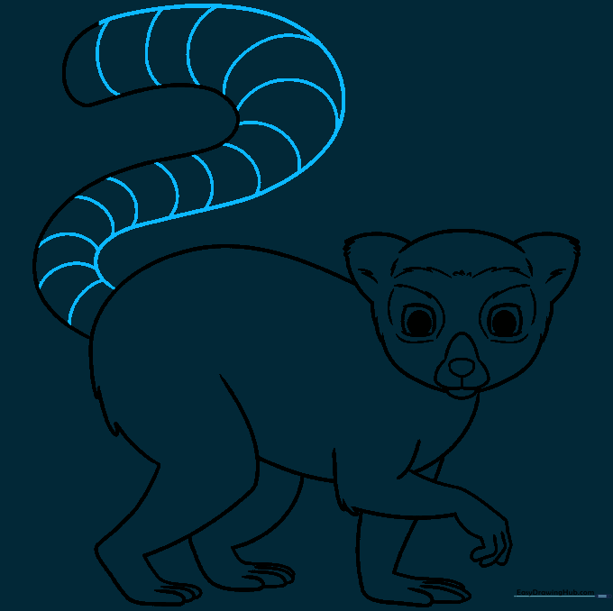 Completed outline of the lemur with the iconic ringed tail pattern.