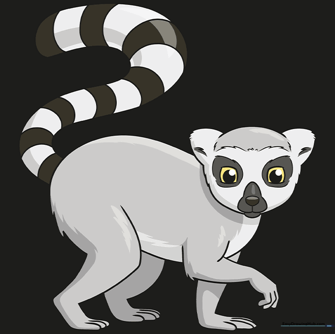 Finished, colored drawing of a ring-tailed lemur with grey fur and black tail stripes.