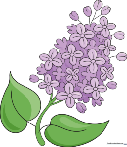 A vibrant, finished drawing of a lilac flower cluster with green leaves.