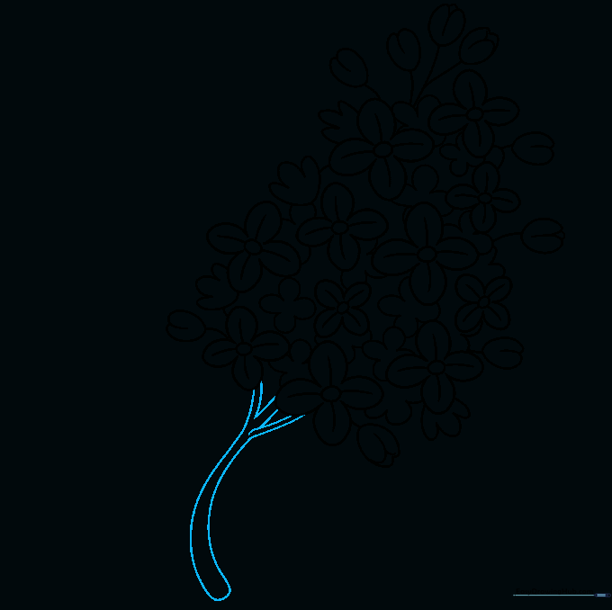 Drawing the main stem and branch junctions for the lilac flower.