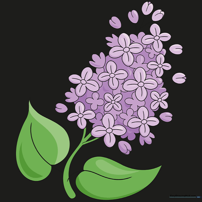 The completed, colored illustration of a lilac flower cluster.