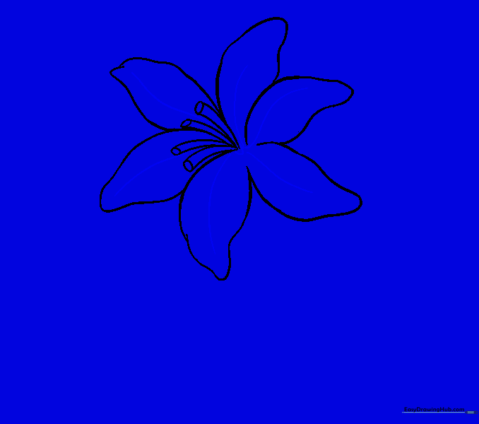 Drawing vein details on the lily petals.