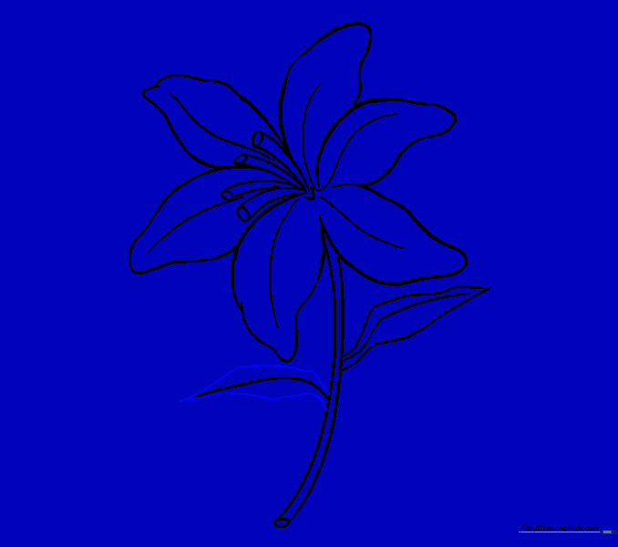 Completing the second leaf on the lily stem.