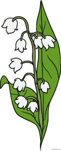 A beautiful, finished illustration of a Lily of the Valley flower.