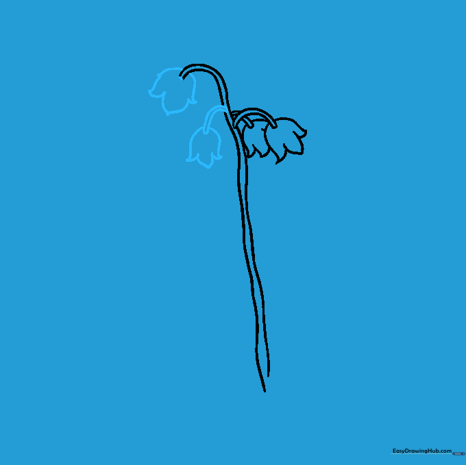 Adding a second bell-shaped flower to the opposite side of the stem.