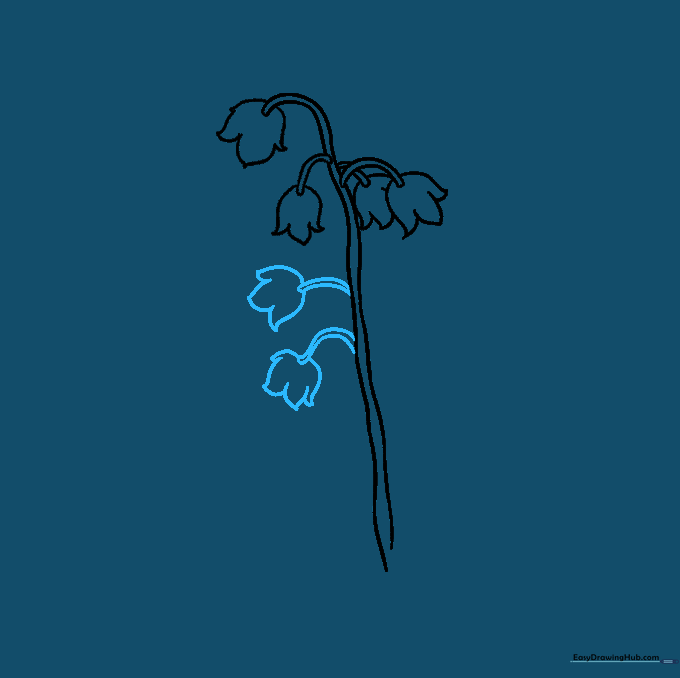 Drawing additional flower blossoms along the stem to create a cluster.