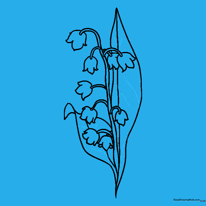 Adding fine vein details to the leaves to complete the outline.