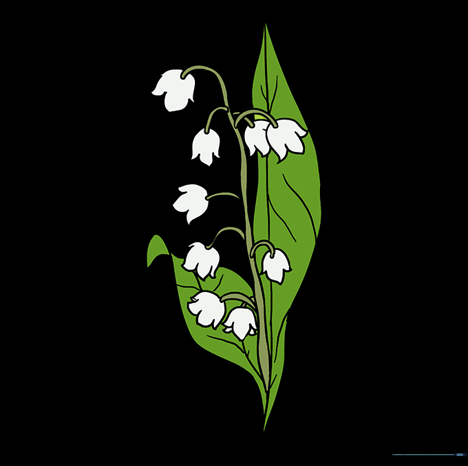 Completed and colored Lily of the Valley drawing with white blossoms and green leaves.