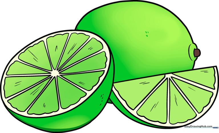 Vibrant, finished drawing of a lime and lime slices