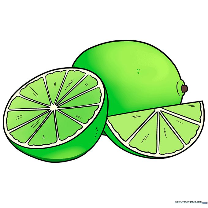 Full color illustration of a lime and lime wedge
