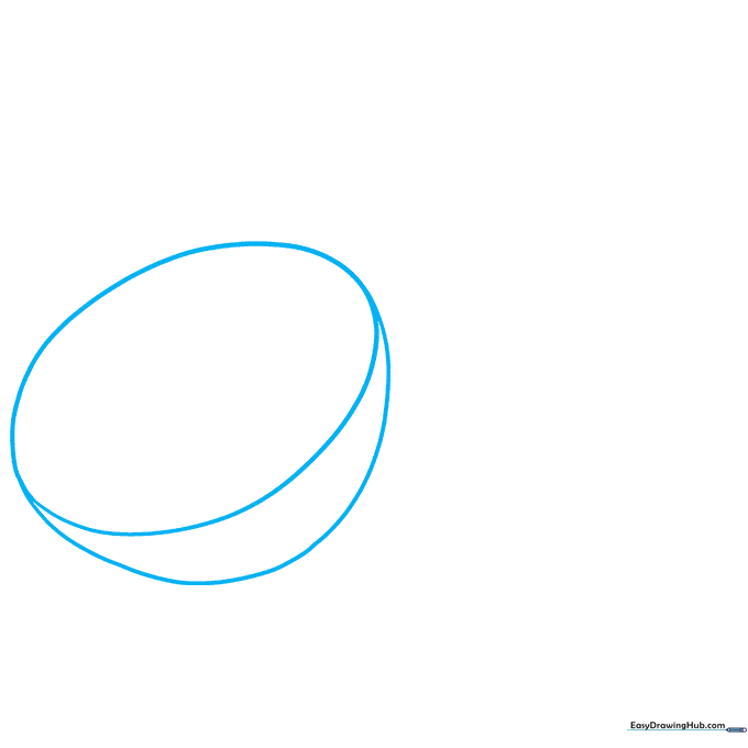 Pencil sketch of a lime's outer oval shape on white paper