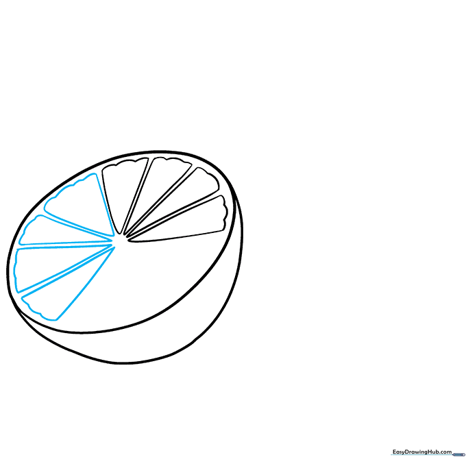 Adding multiple triangular segments to the lime drawing