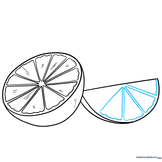 Adding segment details to the lime wedge