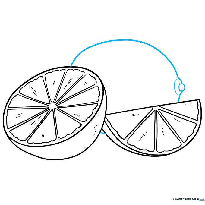 Final line art of a whole lime and cut lime slices