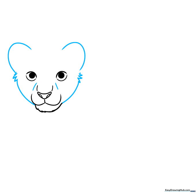 Outlining the lion cub's face shape and adding rounded ears.